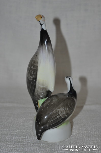 Gullóháza guinea fowls ( dbz 0086 )