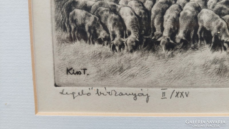 Little Theresa / Pasture Flock of Sheep Etching