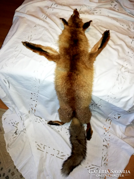 Real red fox fur with head, feet, tail, full length, finished by a master furrier