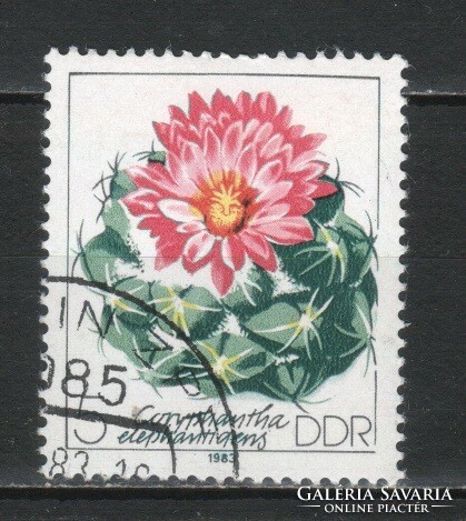 Flower, fruit 0185