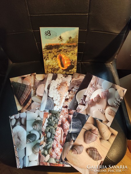 88 color pages of sea snails and shells + postcards.
