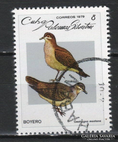 Birds 0046