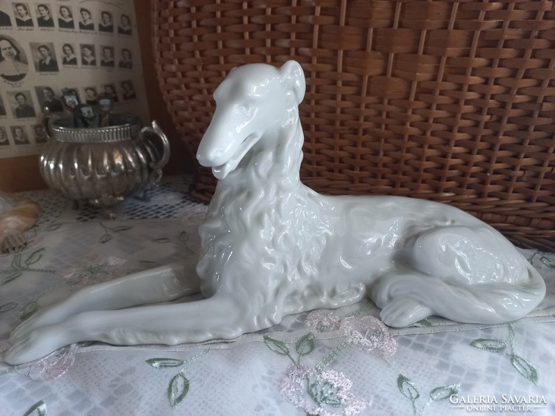 Herendi nagyméretű orosz agár kutya, fehér
