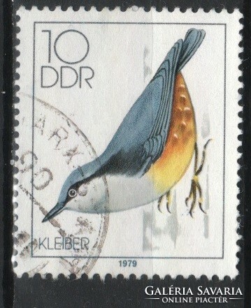 Birds 0054