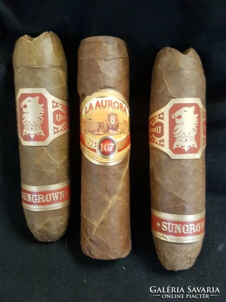 3 collector's robusto cigars