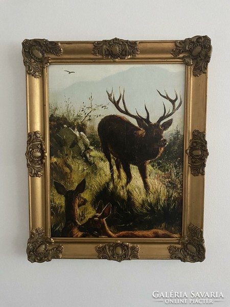 Hunting scene - print - stag and harem, in an antique frame - gift?
