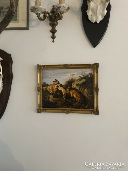Hunting scene - print in antique frame - fight of foxes
