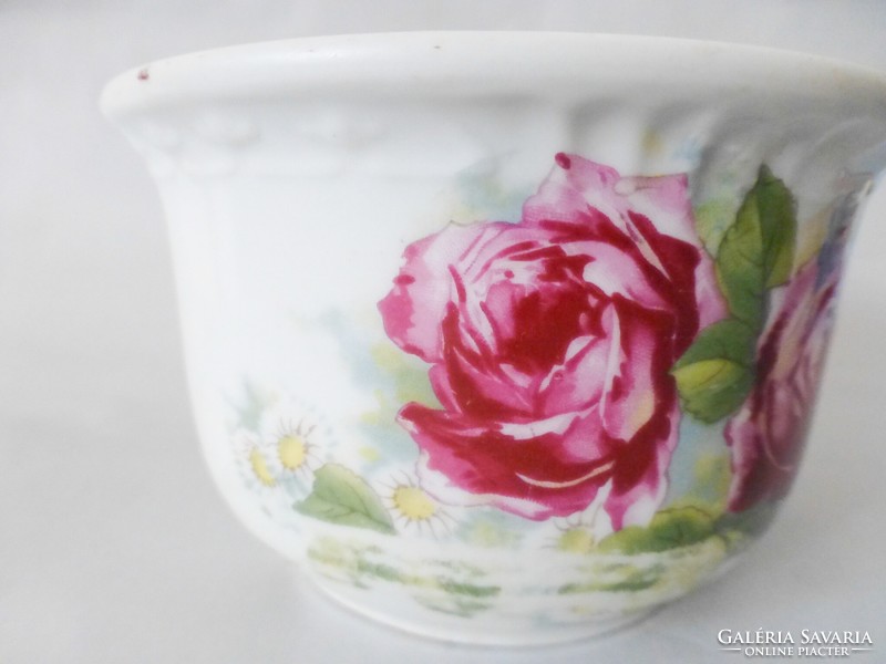 Antique rose coma cup