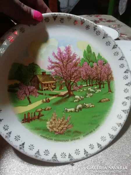Romantic plate 2. In the condition shown in the pictures