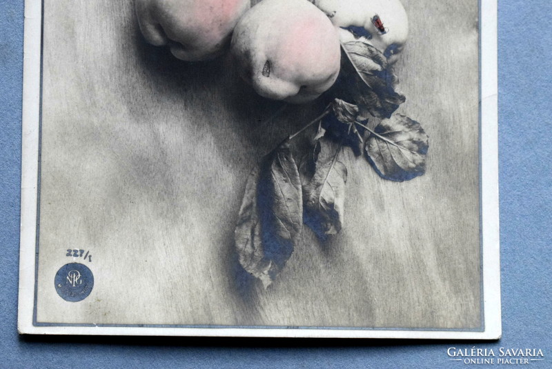 Antik művész fotó   képeslap -  almák és pillangó