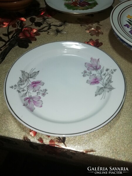 Raven House porcelain plate 23. In the condition shown in the pictures