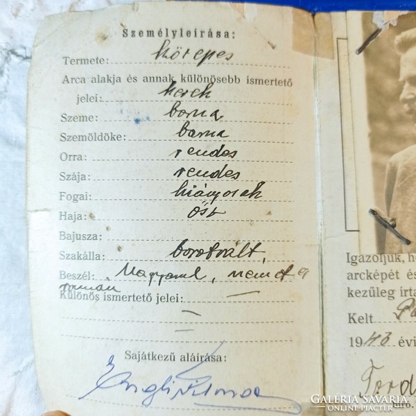 Transylvanian forester photo, old rifle, ID card