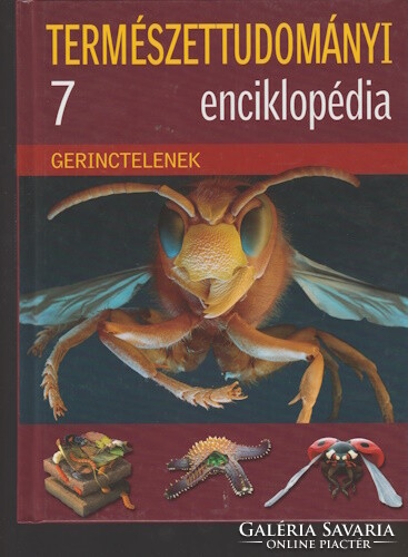 Péter Újhelyi (ed.): Invertebrates