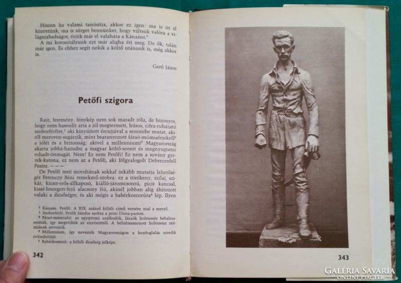 From Petőfi - about petőfi - on the 150th anniversary of the poet's birth - literary history, biography