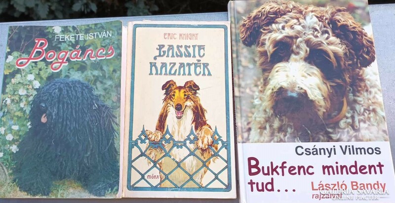 Dog books - lassie returns home - thistle knows everything... - Puppy