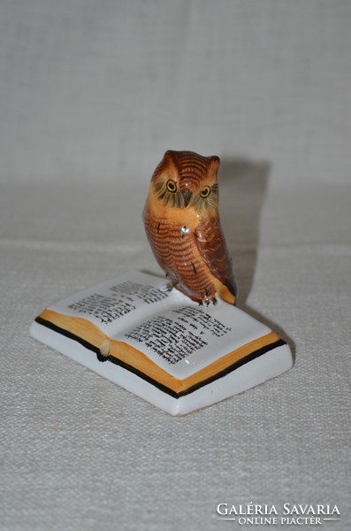 An owl sitting on a book in Bodrogkeresztúr