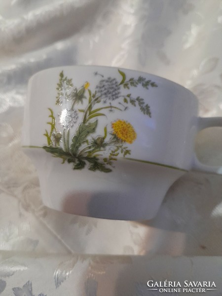 Hollóháza field flower tea cup