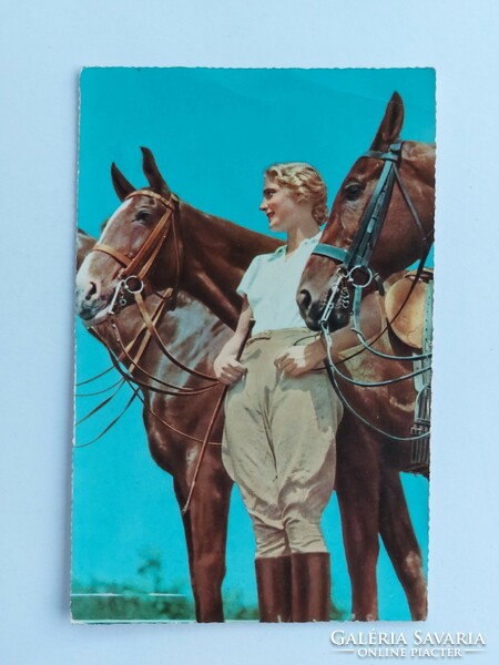 Régi képeslap 1954 levelezőlap hölgy lovakkal