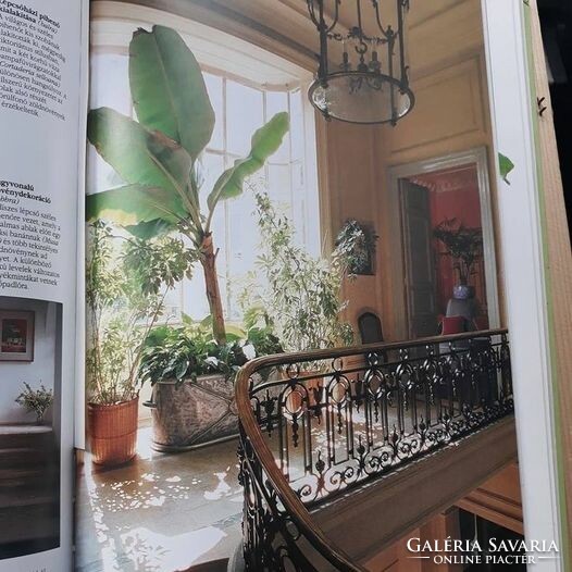 Vintage garden and plants, interior design book