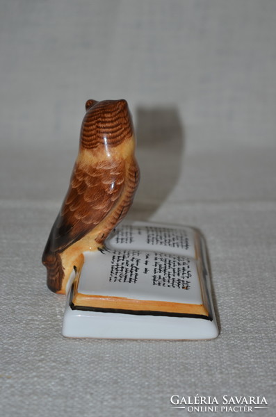 An owl sitting on a book in Bodrogkeresztúr