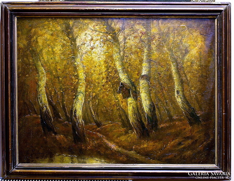 Albert ferenc?: Forest interior, painting size 60 x 80 cm, oil on canvas
