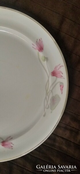 Hollóháza porcelain floral flat plate with gold border 26 cm