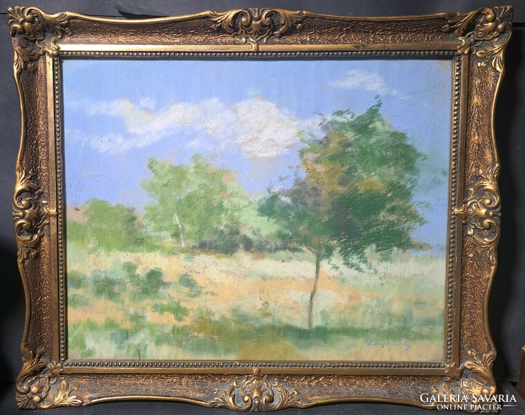 István Matusek: sunny field (framed pastel) old summer landscape, Székesfehérvár painter