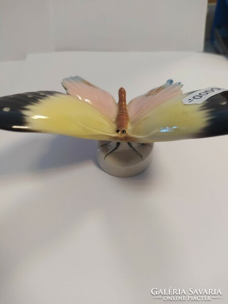 Volkstedt large porcelain butterfly