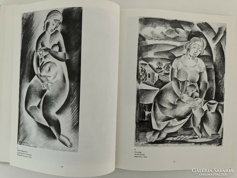 D. Zsuzsa Fehér: miller c. Pál, the graphic artist, art book