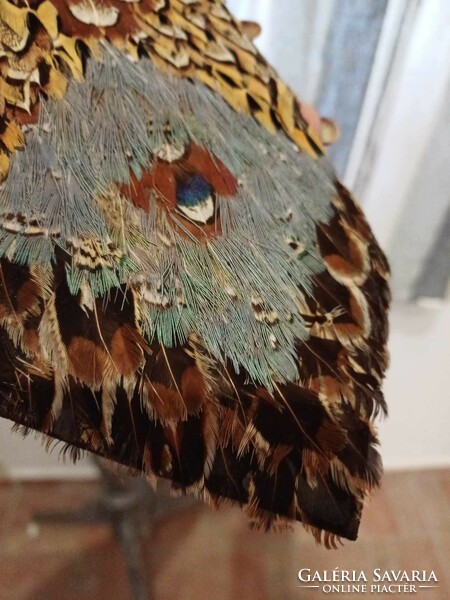 Tie decorated with bird feathers for collectors