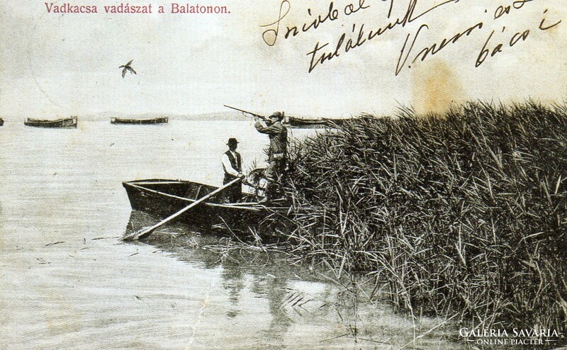 Ba - 162 Postatiszta reprint képeslap a Balaton régmúltjából - Vadkacsa vadászat