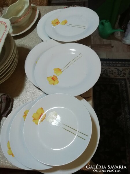 Porcelain plates with yellow flowers. It is in the condition shown in the pictures