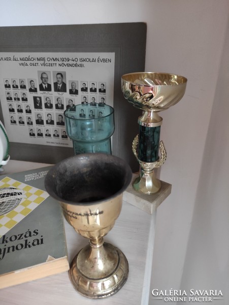 Kapu Jenő nemzetközi sakknagymester szakmai hagyatéka díjak kupák fotók könyvek levelezések