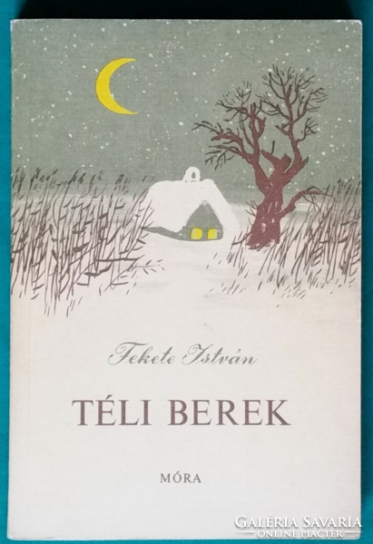 István Fekete: winter berek > children's and youth literature > boys' stories