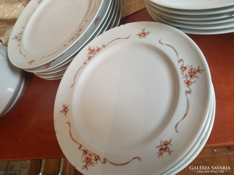 Lowland rosehip tableware