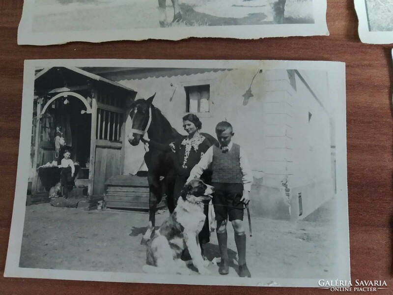 8 db kisméretű fotó, lovaglás, lovasszekér, 1930-40-es évek körüli