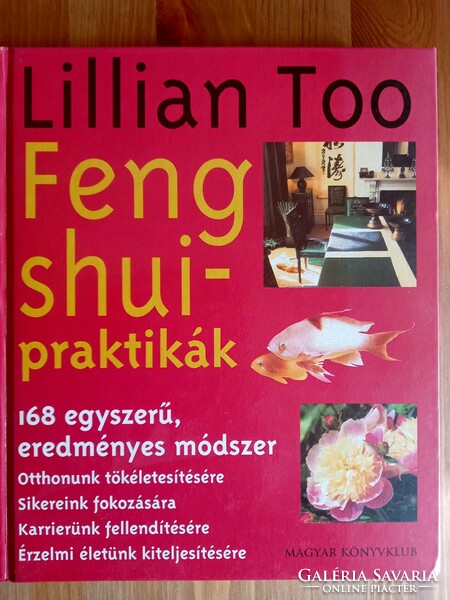 Lillian too: feng shui practices