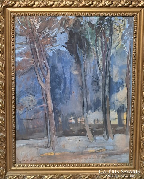 Csaba Fejér: trees (picture gallery painting in a frame) painter from Hódmezővásárhely
