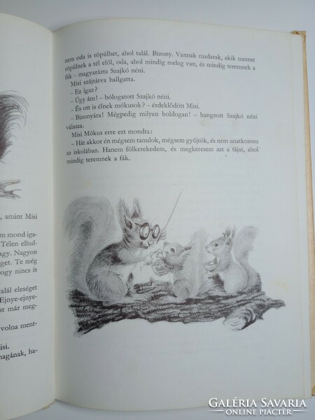 Tersánszky j. The Adventures of Jenő - Misi's Squirrel 1975