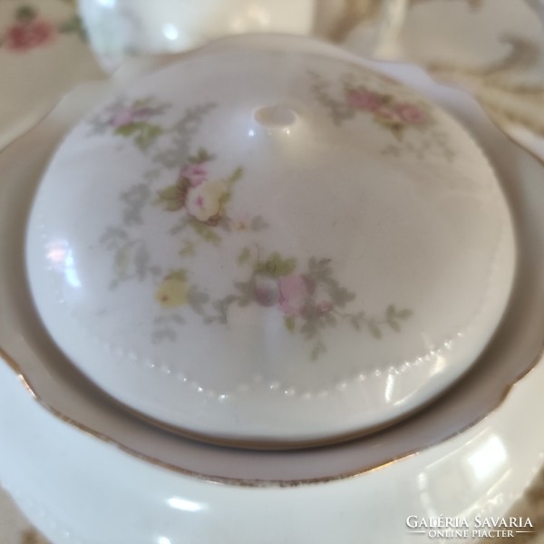Pieces of a tea set with a wild rose pattern