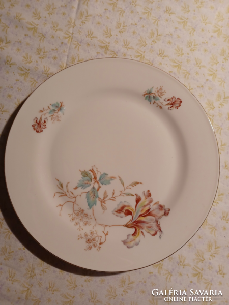 Bavaria-tirschenreuth German porcelain flat plate for replacement