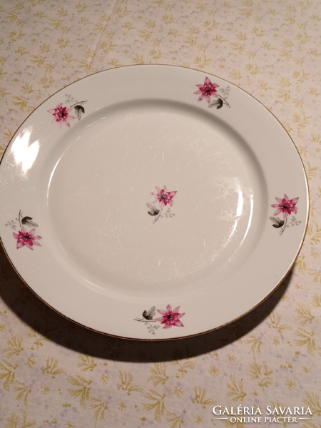 Floral lowland porcelain flat plate for replacement