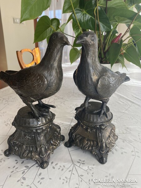 A pair of pigeons and pigeons