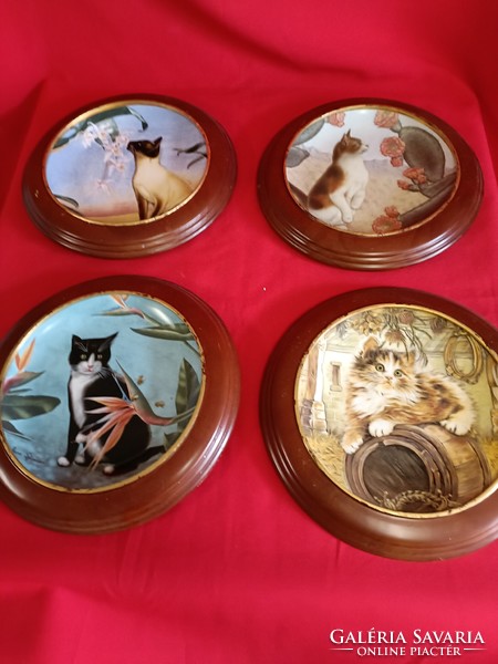 Wonderful cat plates!