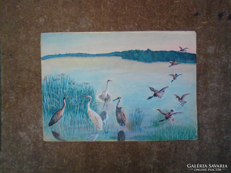 Very old picture of birds in the lake - watercolor, i.e. water painting, small painting