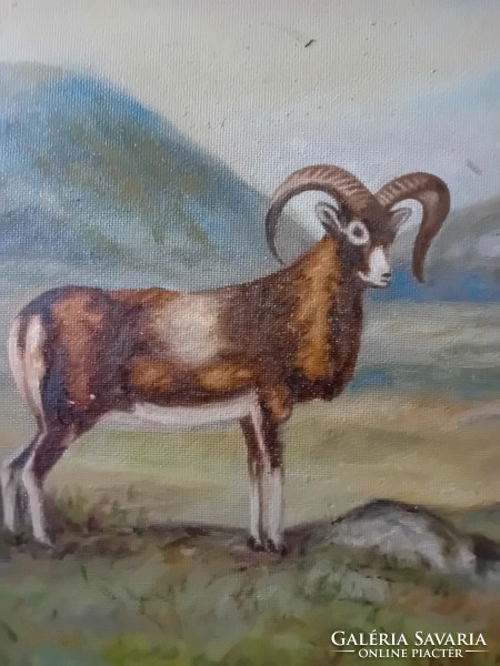 Muflonos festmény