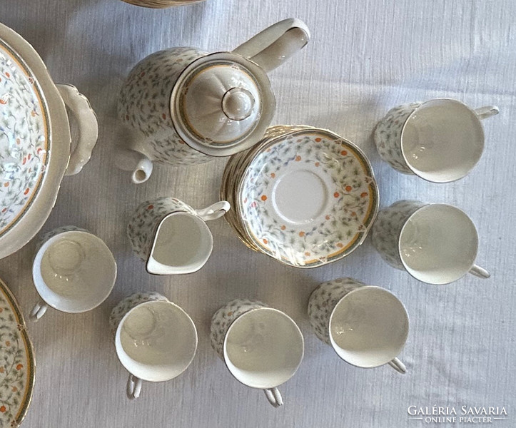 Porcelain plate and coffee set for 12 people, 67 pieces