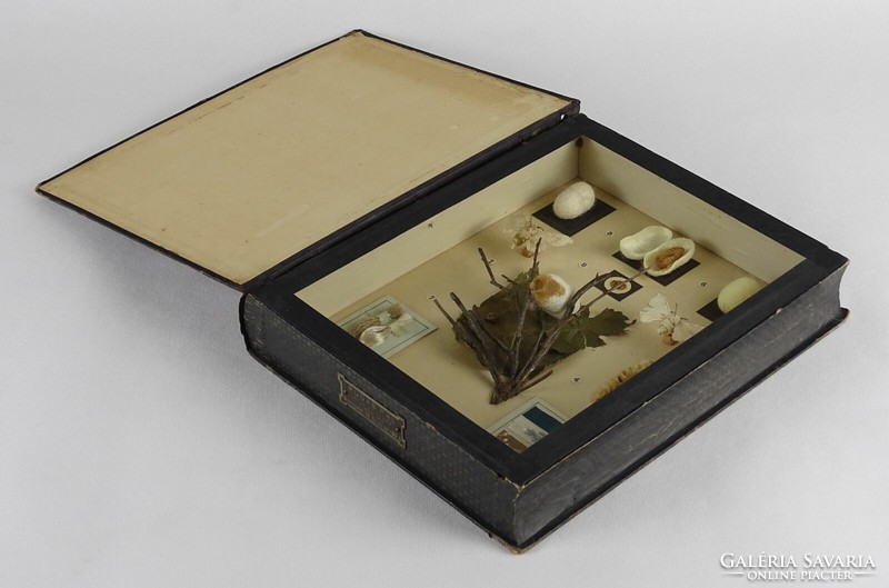 1P109 Bombix mori - selyemhernyó preparátum könyv alakú dobozban