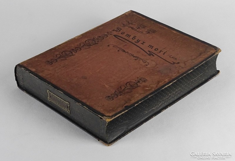1P109 Bombix mori - selyemhernyó preparátum könyv alakú dobozban