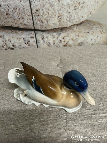 Metzler & Ortloff porcelain wild duck a63